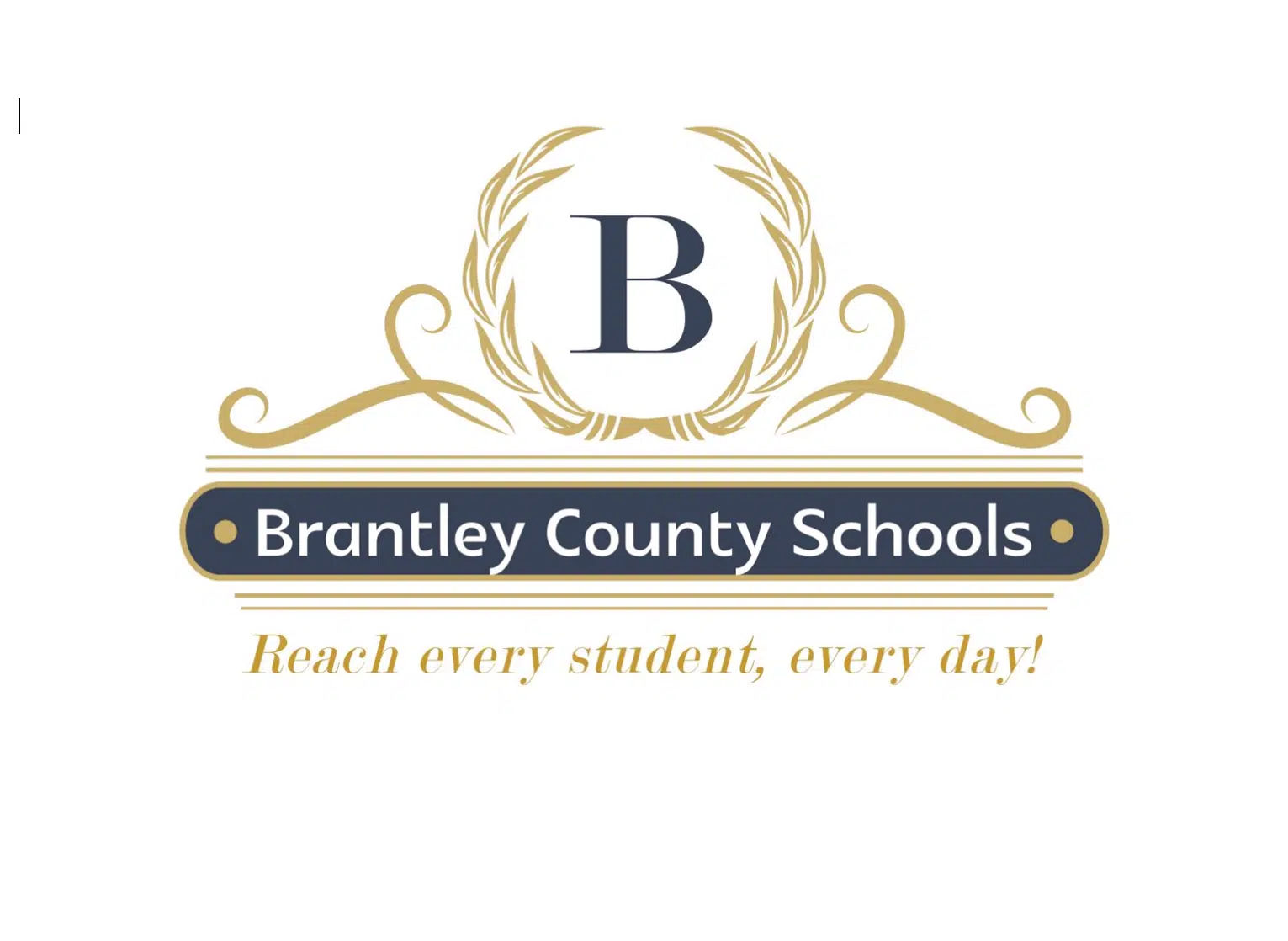 Brantley County Schools Logo